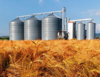 Choosing The Best Warehouse for Grain Storage